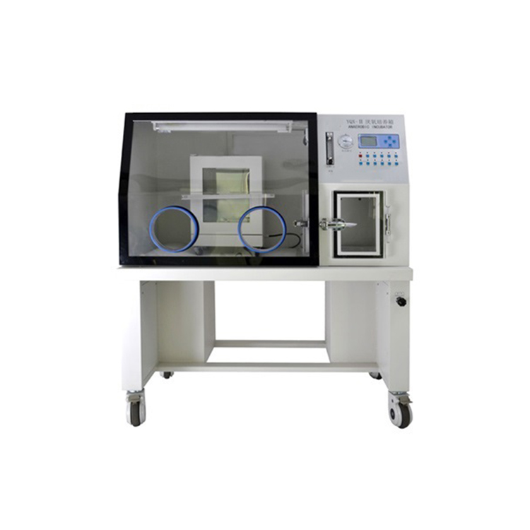 使用厭氧培養箱的兩大重點有哪些？